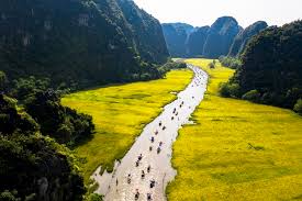 tam cốc