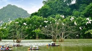 thung nham